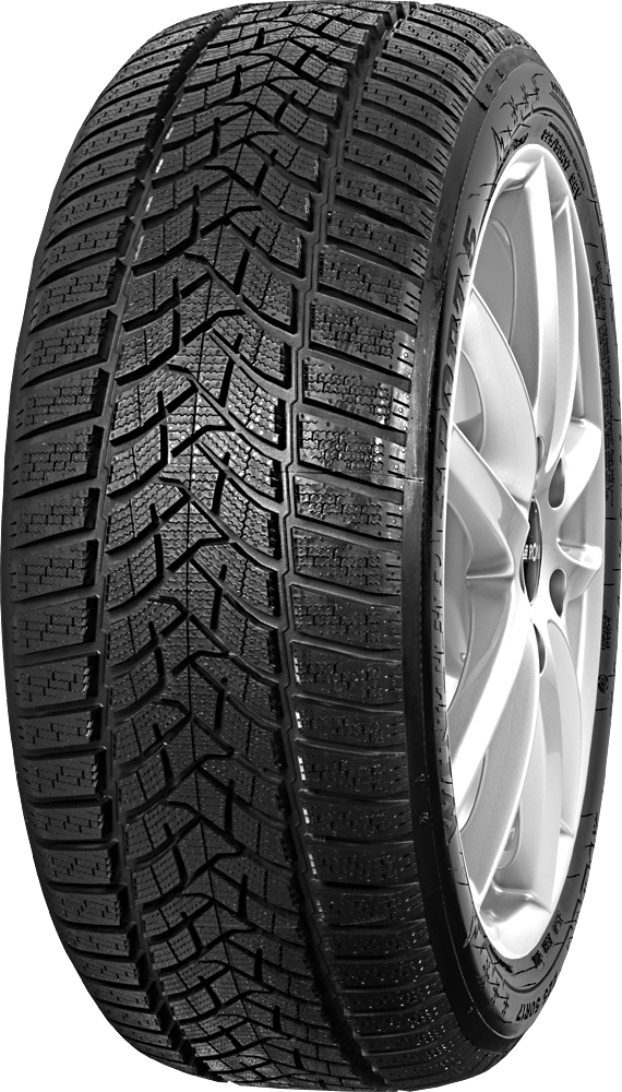 Reifen Dunlop Winter Sport 5 225/45 R17 91 H MFS kaufen »
